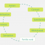 gestalt_cycle_of_awareness.png