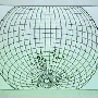 boids04.gif