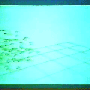 boids03.gif
